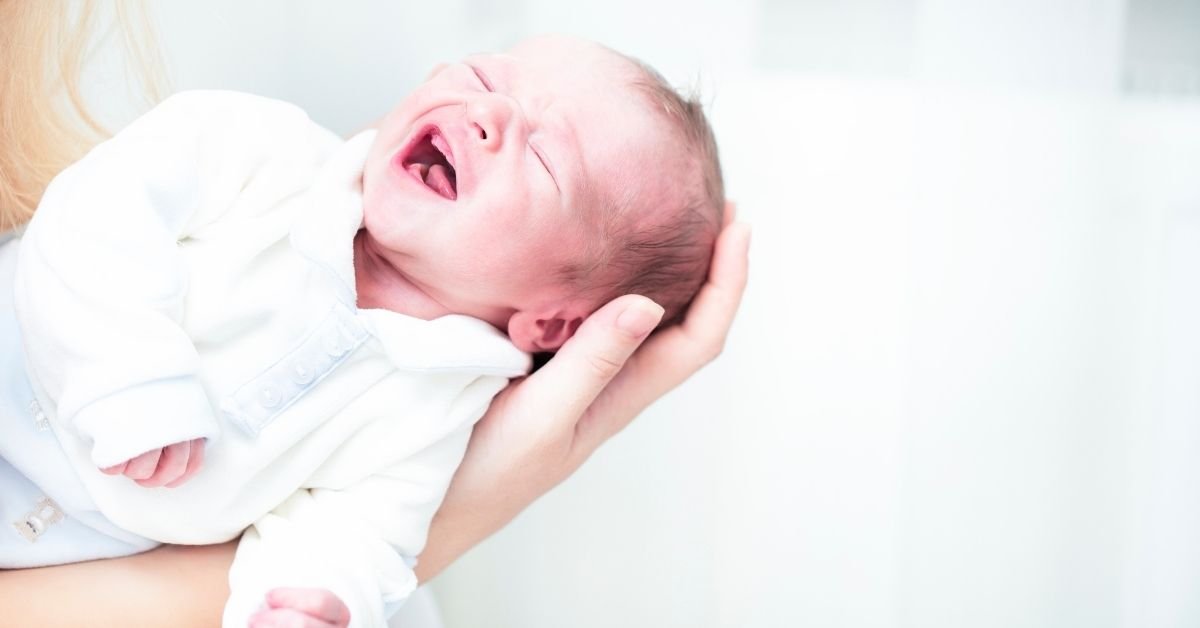 Disclaimer of QuillFill.com