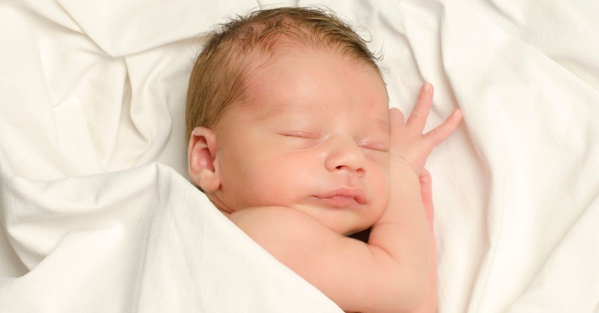 Privacy Policy of QuillFill.com