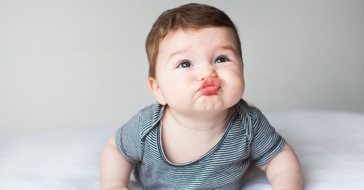 Terms and Conditions QuillFill.com